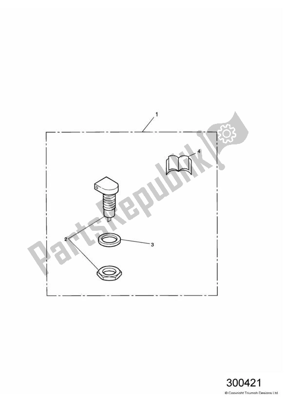 All parts for the Auxiliary Power Socket Kit of the Triumph America Carburettor 790 2002 - 2007